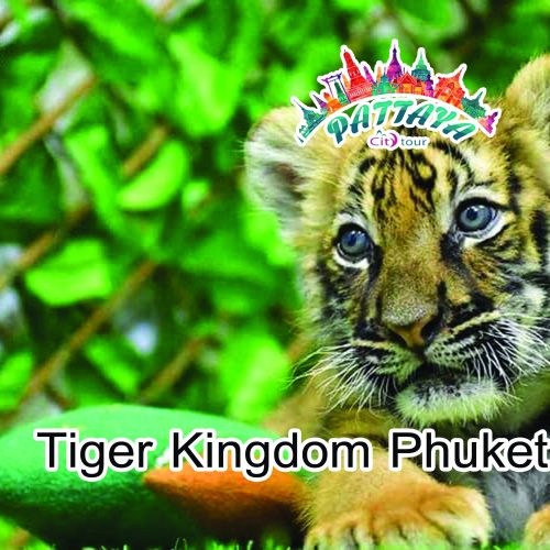 Tiger Kingdom Phuket