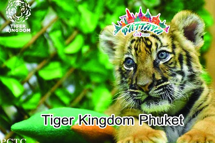 Tiger Kingdom Phuket