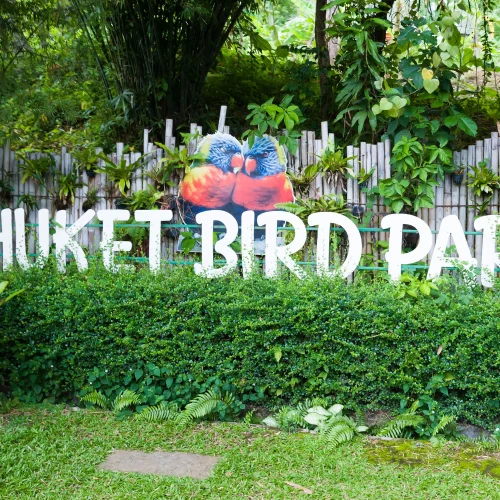 Phuket Bird Park