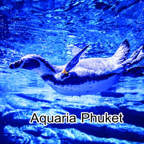 Aquaria Phuket