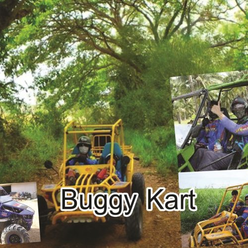 Buggy Kart