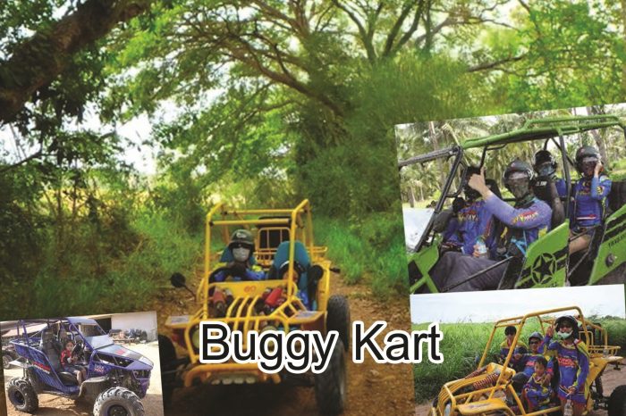 Buggy Kart