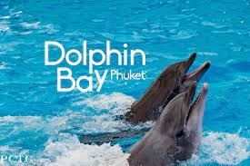 Dolphins Bay Phuket