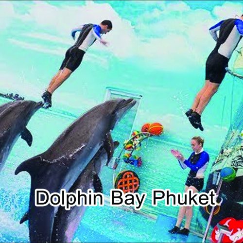 Dolphins Bay Phuket