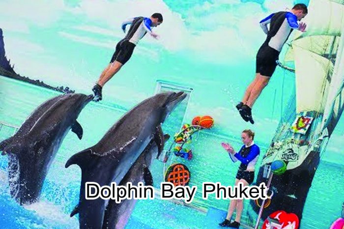 Dolphins Bay Phuket