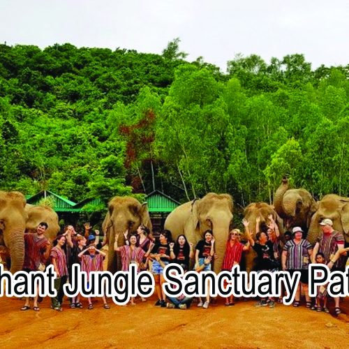 Elephant Jungle Sanctuary Pattaya