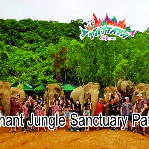 Elephant Jungle Sanctuary Pattaya