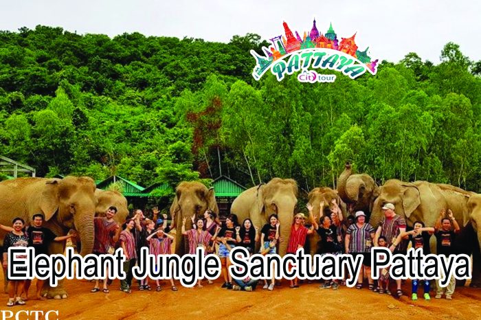 Elephant Jungle Sanctuary Pattaya