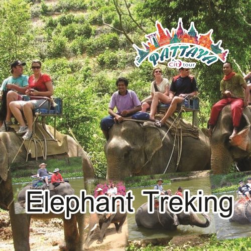 Elephant Trekking