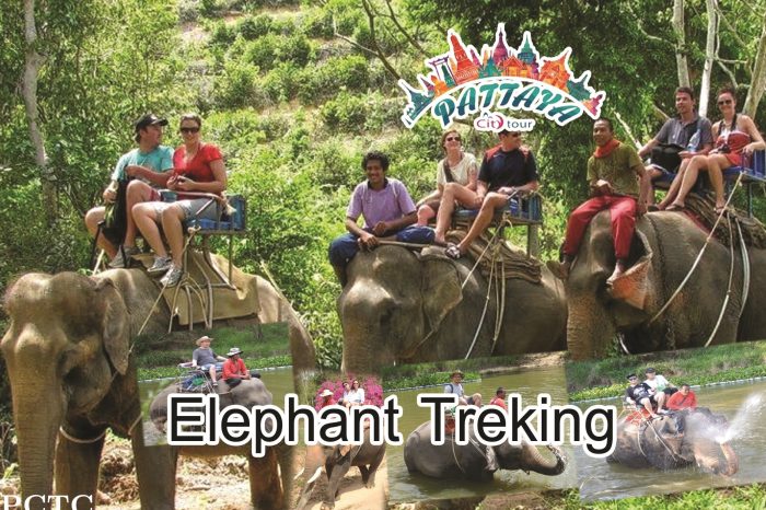 Elephant Trekking