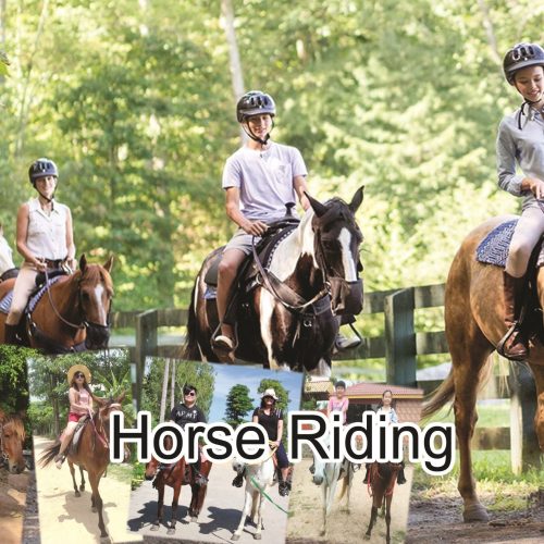 Horse Riding
