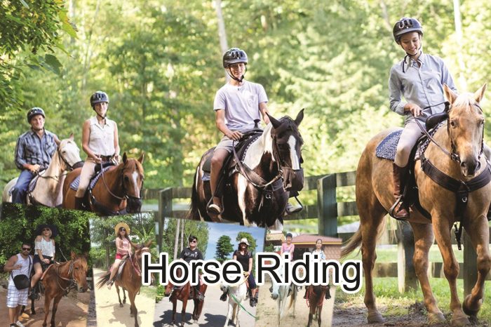 Horse Riding