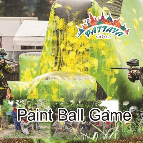 Paint Ball Game