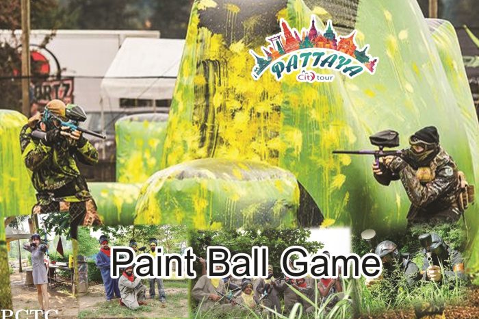 Paint Ball Game