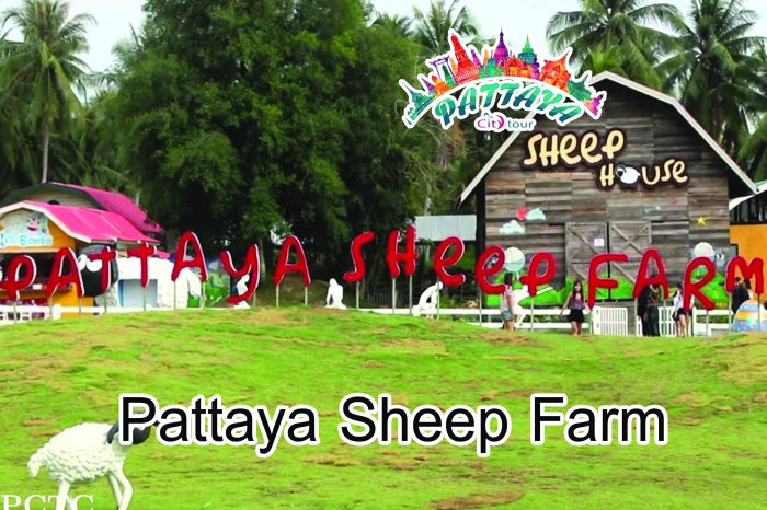 Pattaya Sheep Farm (Family Park Pattaya)