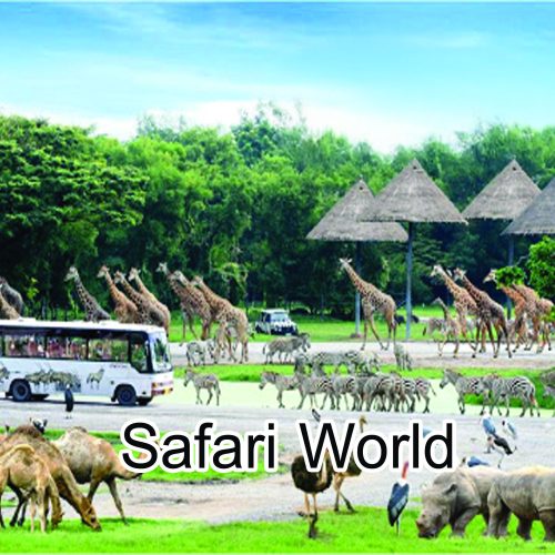 Safari World Bangkok
