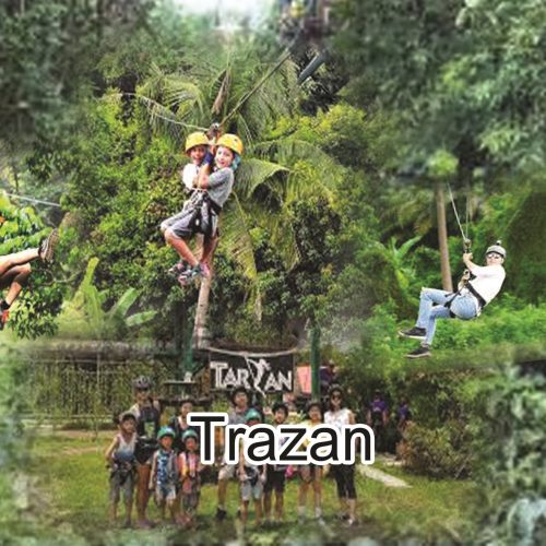 Tarzan
